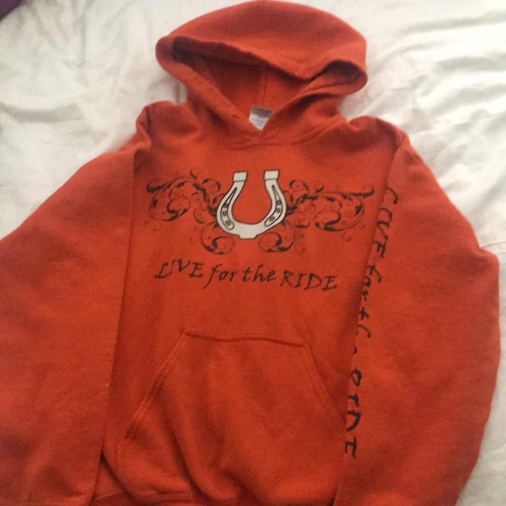 Horse hoodie